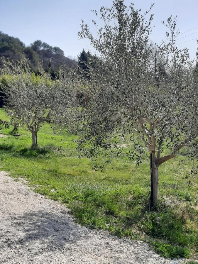 Le Mas Des Oliviers Villa Puget Esterno foto