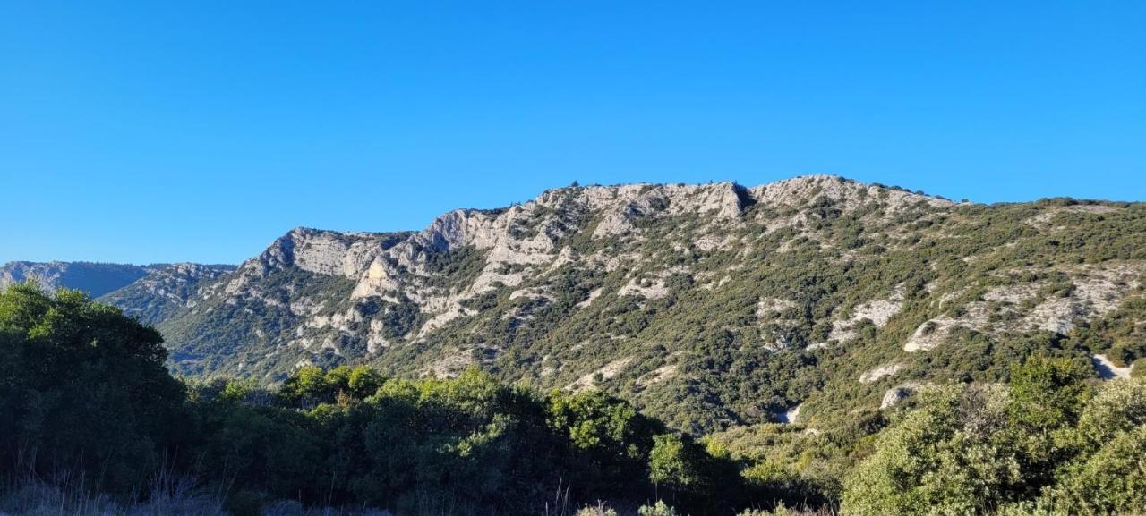 Le Mas Des Oliviers Villa Puget Esterno foto